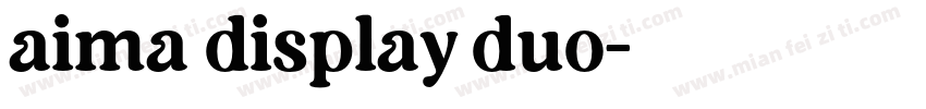 aima display duo字体转换